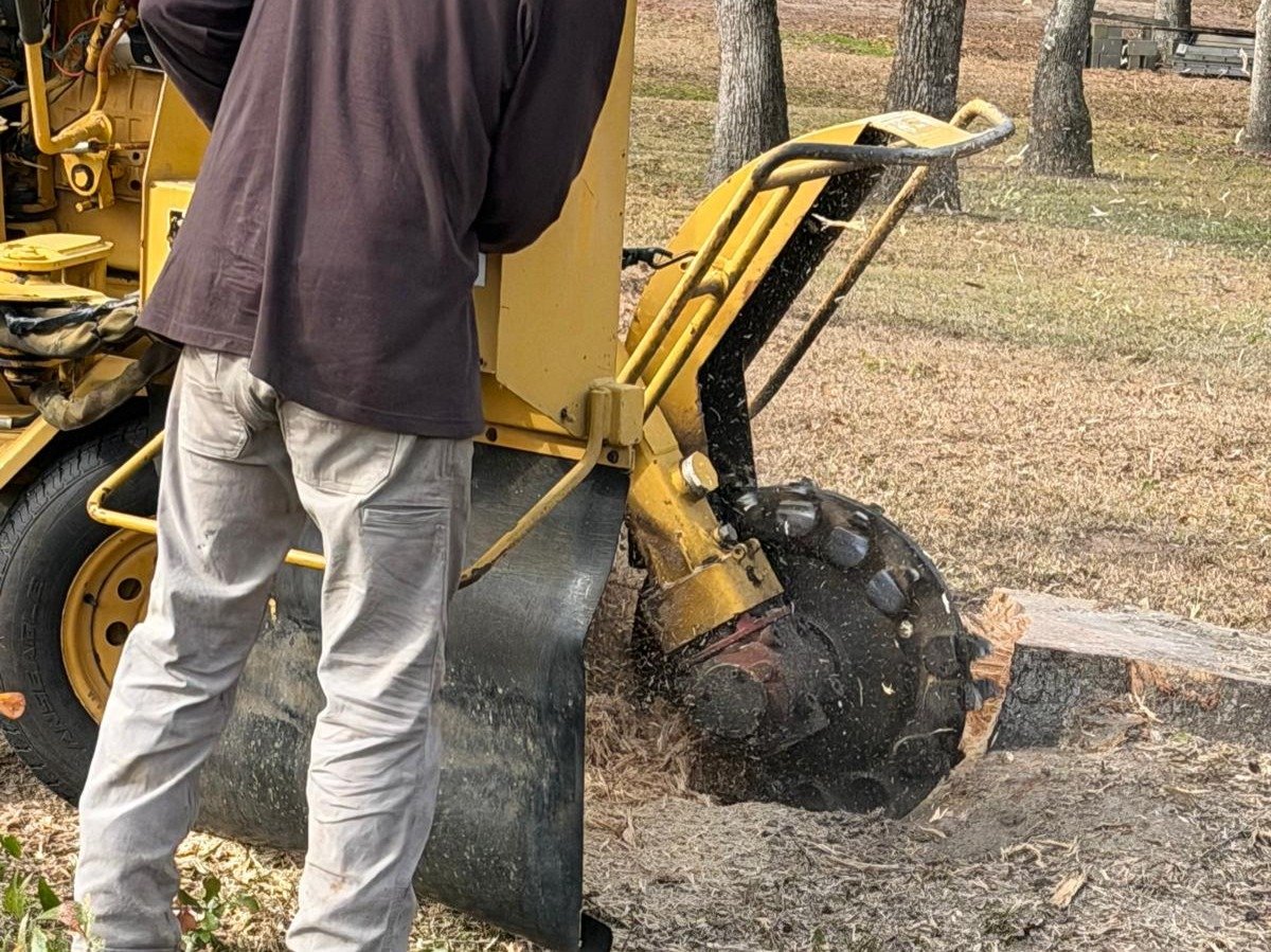 El Costeño Tree Service LLC